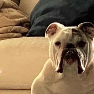 Meet your Posher, Christopher